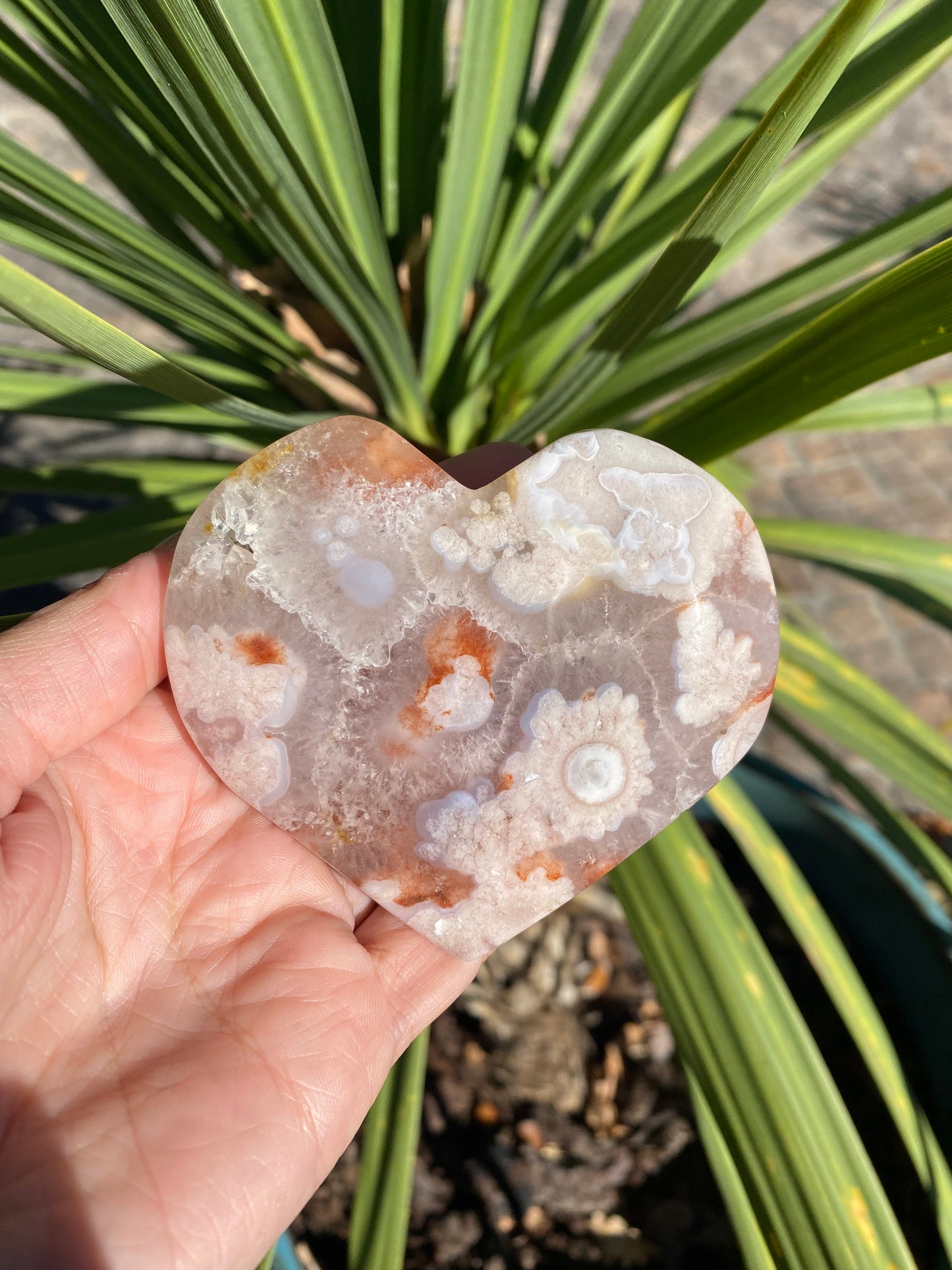 Agate Fleur