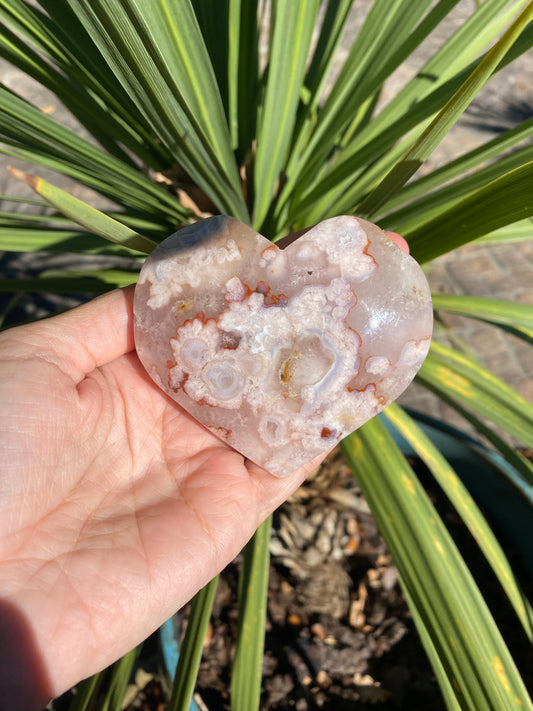 Agate Fleur en provenance du Brésil