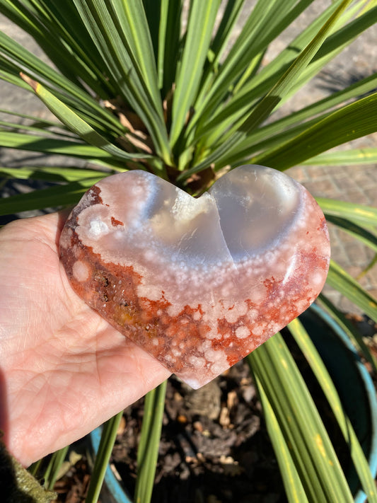 Agate Fleur