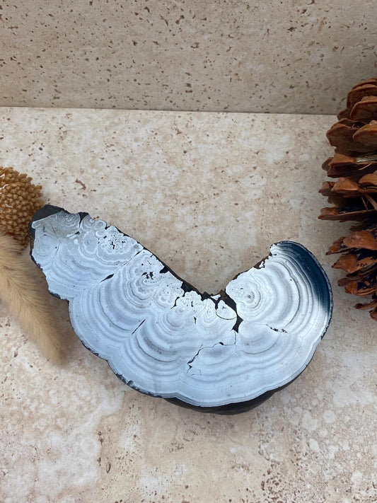 Pyrolusite pièce rare