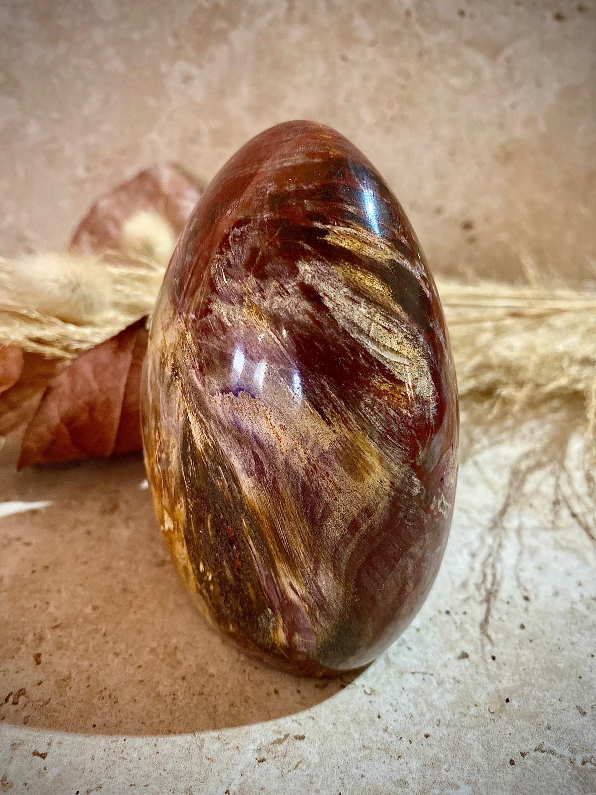 Bois Fossilisé en provenance de Madagascar